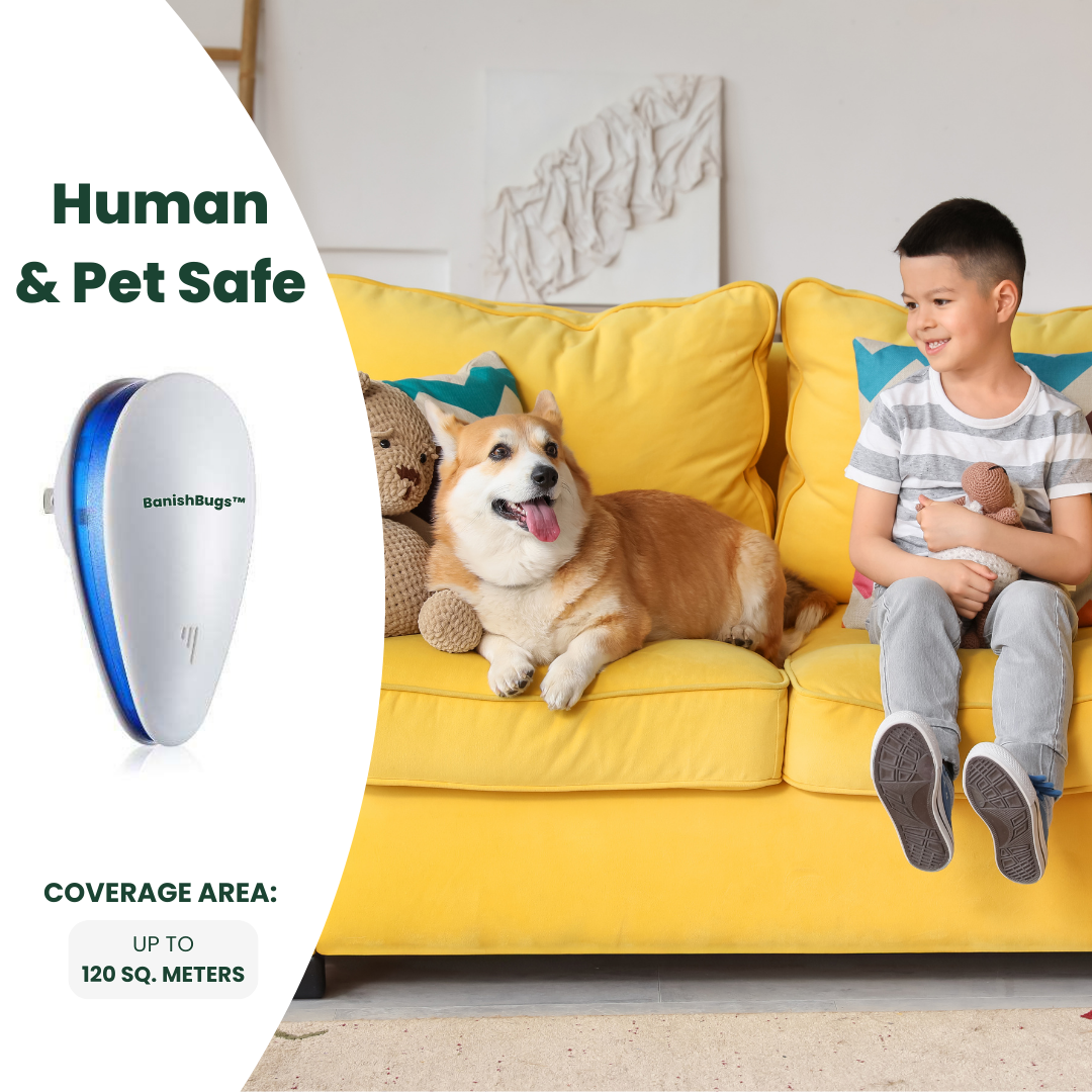 BanishBugs human and pet safe
